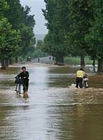 children riding bikes through flooded sreets in north korea